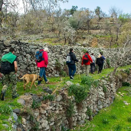Palaiokastro Traditional House *