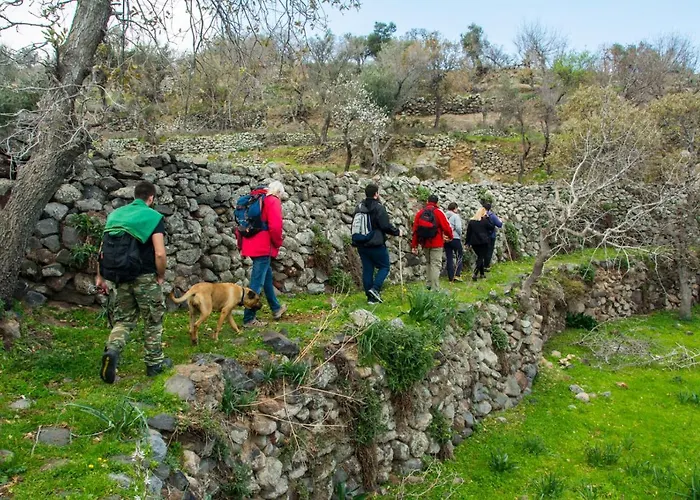 Palaiokastro Traditional House *